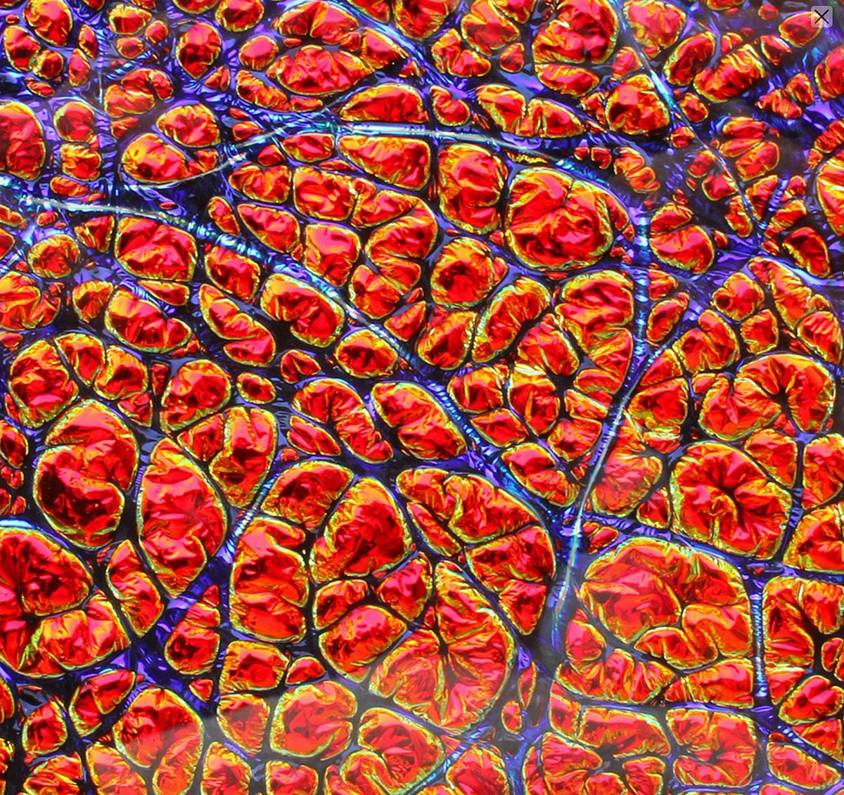 Close-up of red and blue dichrolam with a scale-like pattern, the material in the inlay